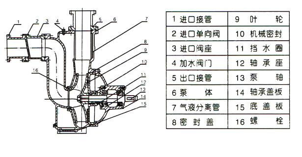 ZWPB型不銹鋼防爆自吸式無堵塞排污泵(結(jié)構(gòu)圖)